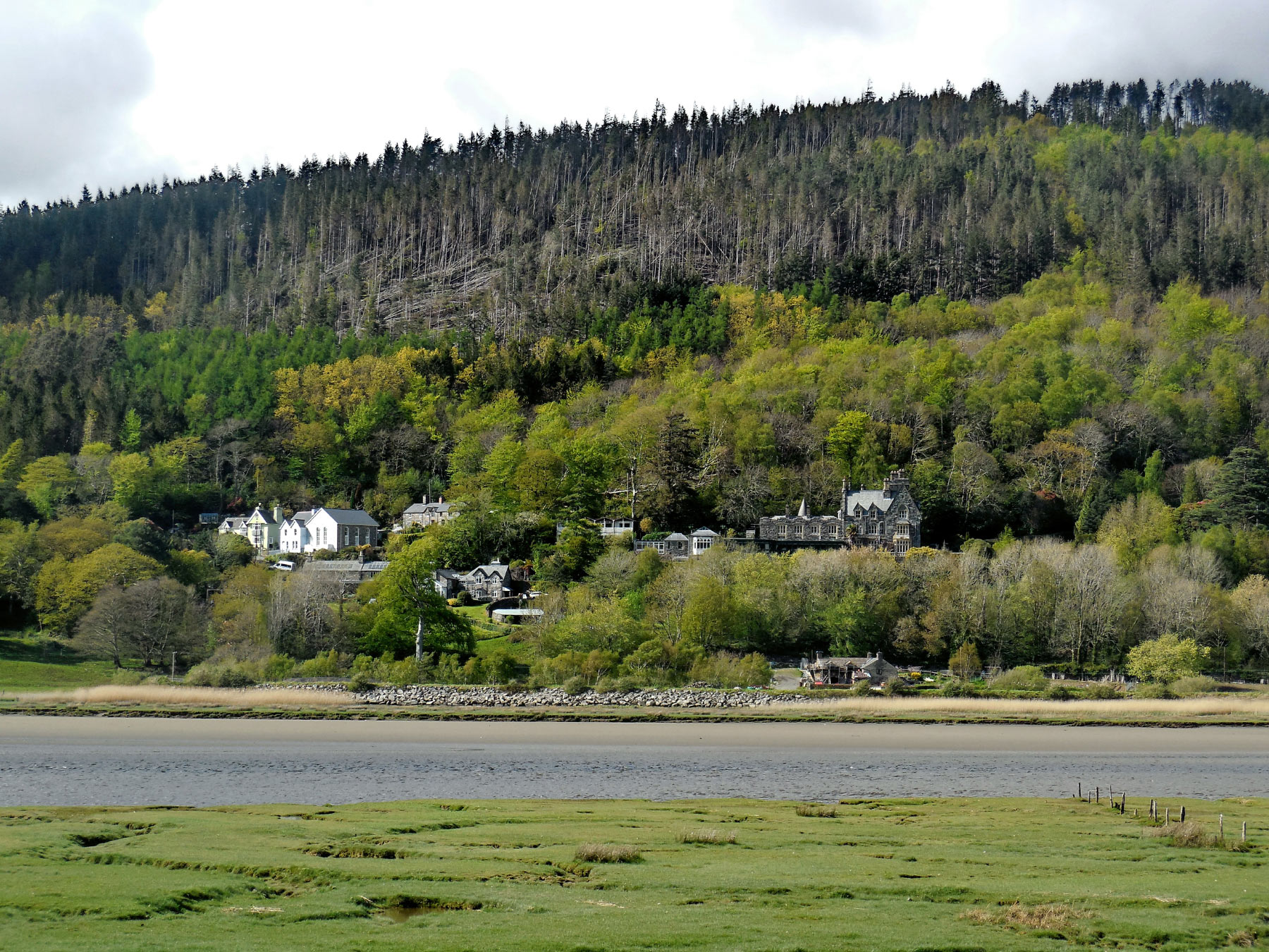 Bala